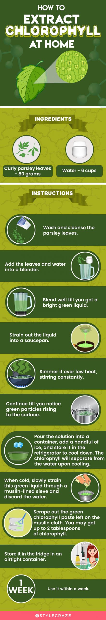 how to extract chlorophyll at home (infographic)