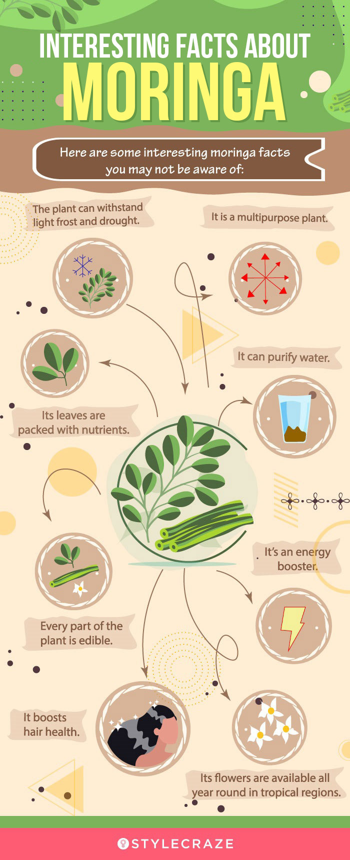 interesting facts about moringa [infographic]