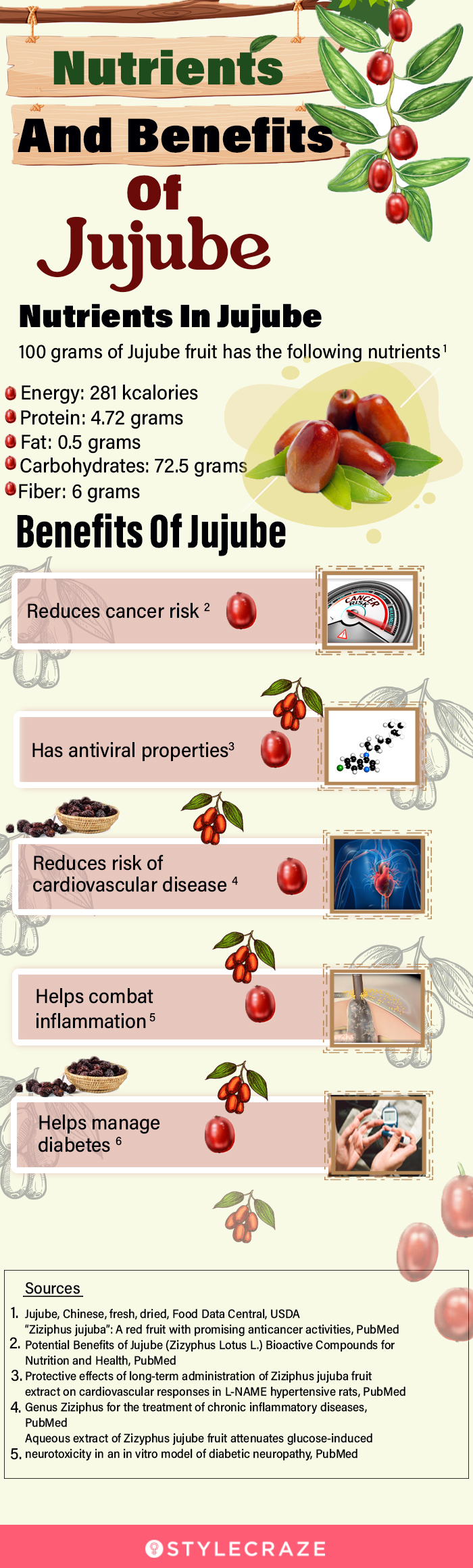 nutrients and benefits of jujube [infographic]