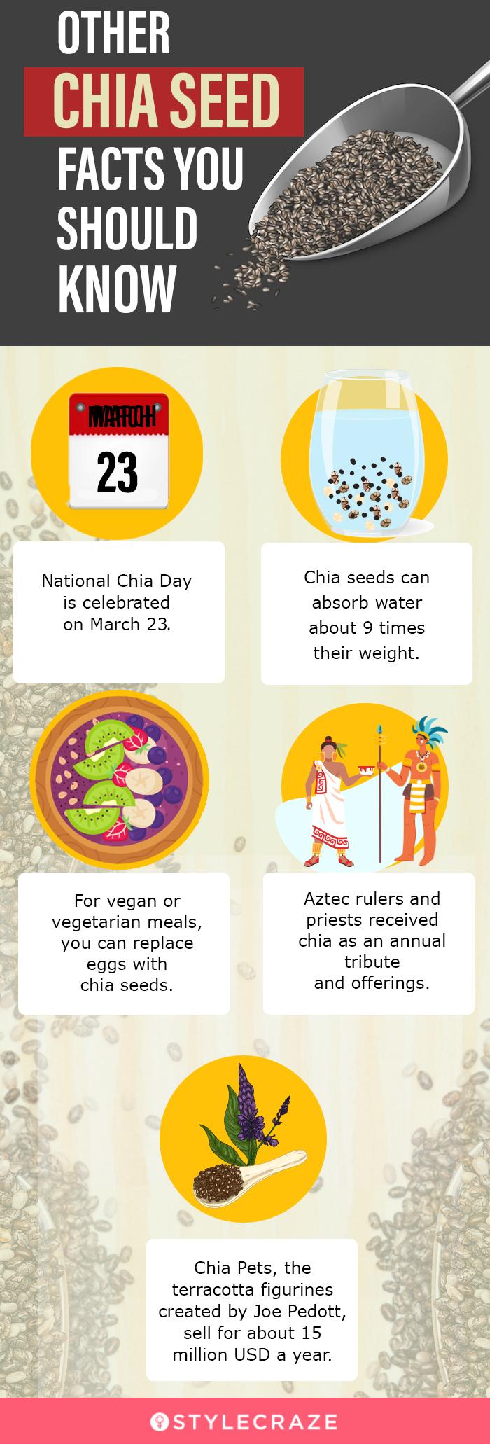 Chia Seeds and Weight Loss: Dietitians Explain the Connection