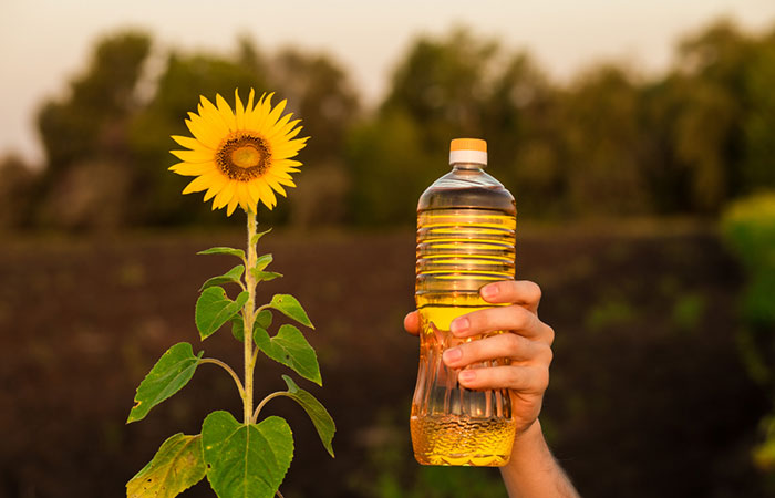 Person holding a bottle of sunflower oil next to a sunflower