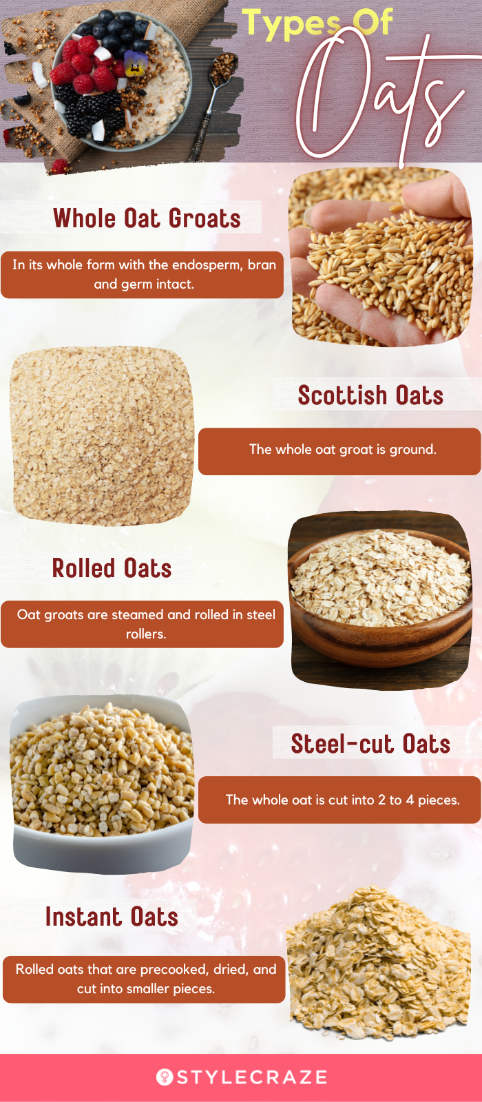 types of oats (infographic)