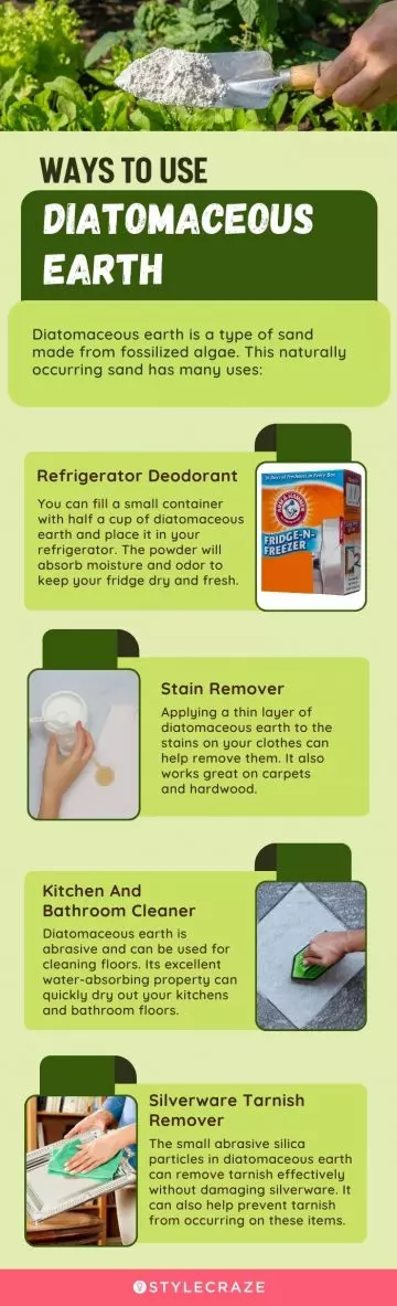 ways to use diatomaceous earth (infographic)