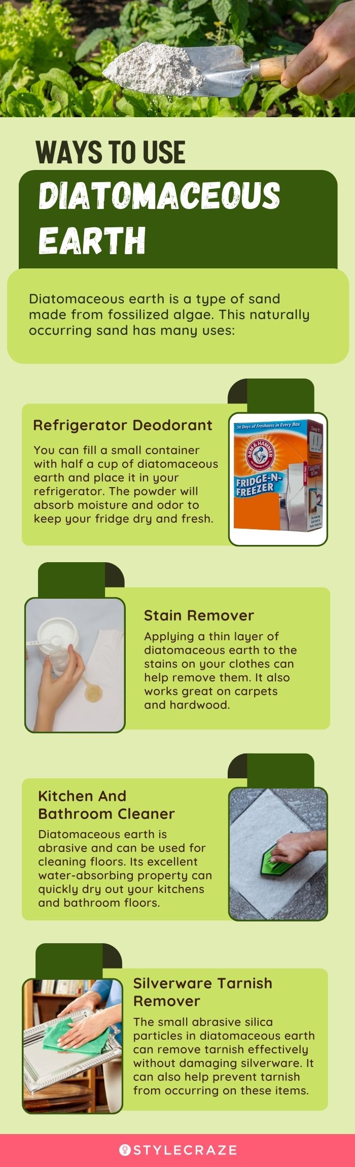 ways to use diatomaceous earth (infographic)