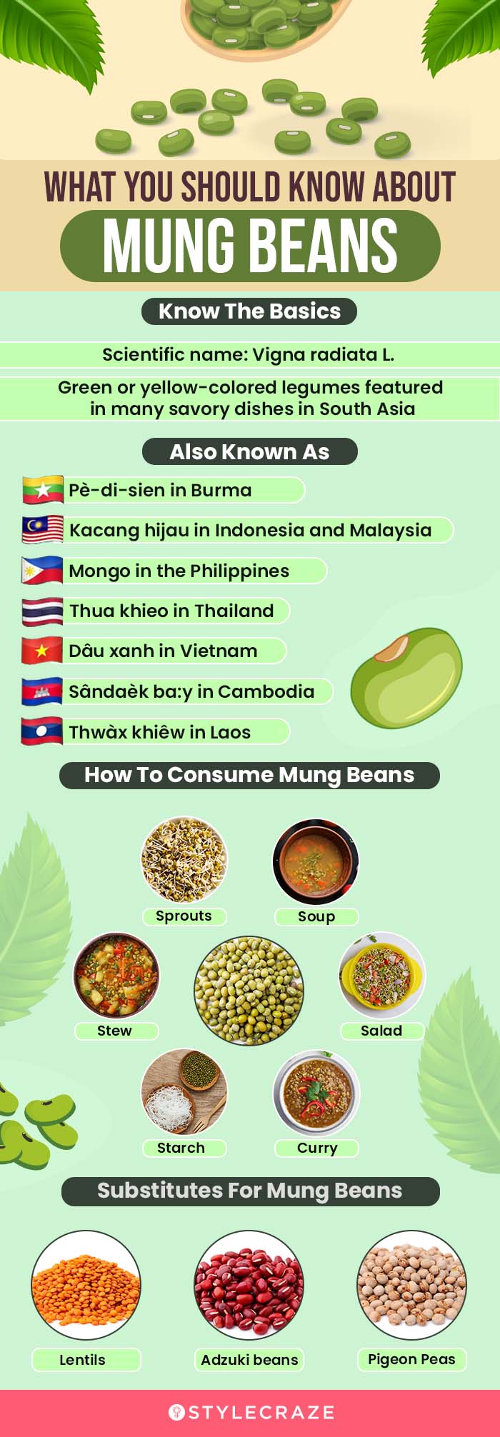 what you should know about mung beans (infographic)