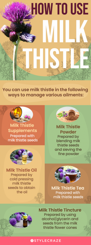 how to use milk thistle (infographic)