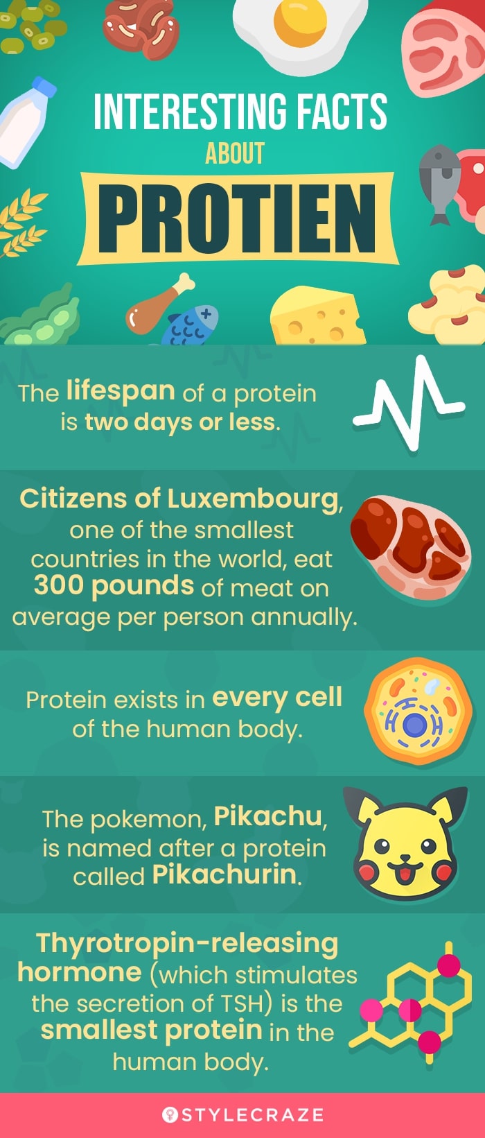 interesting facts about proteins [infographic]