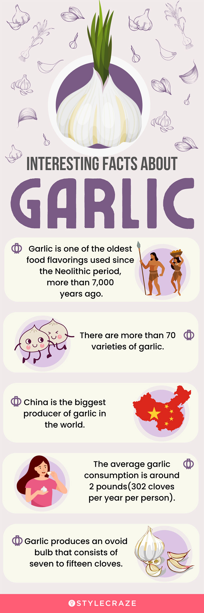 interesting facts about garlic (infographic)