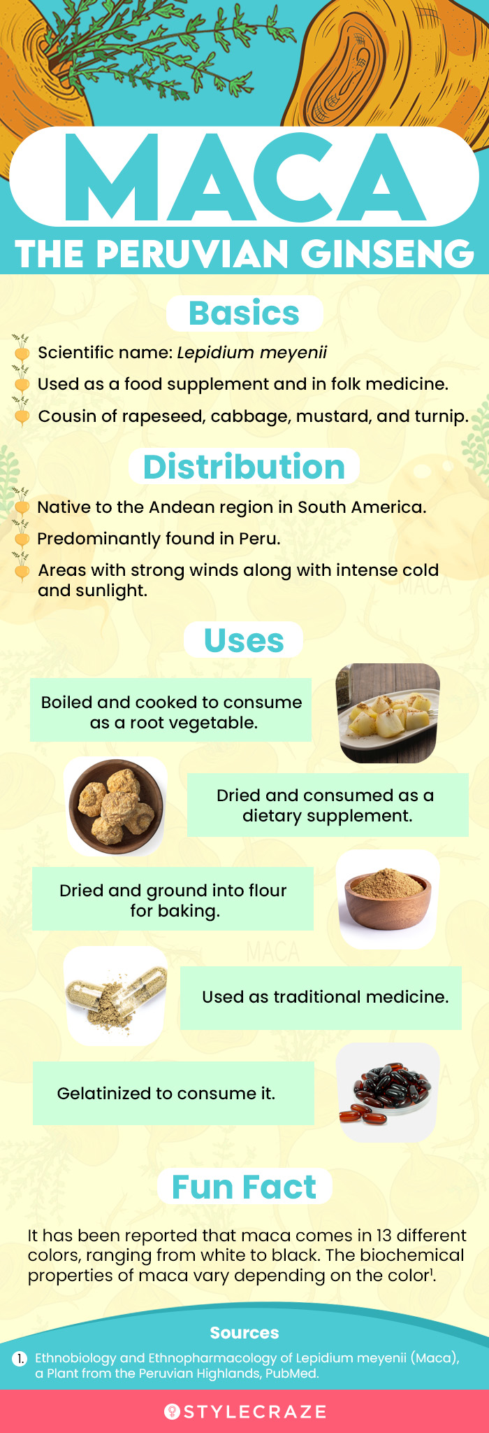 maca the peruvian ginseng (infographic)
