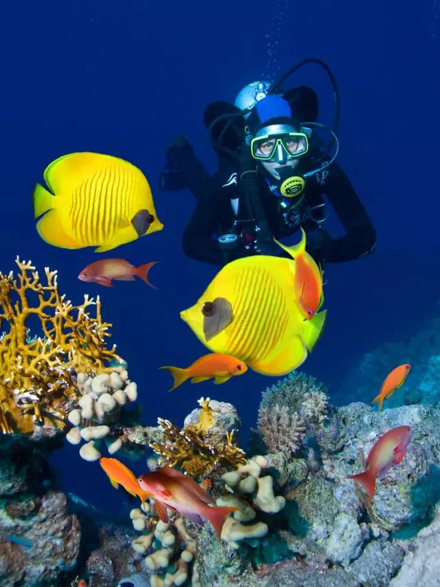 Is Oxybenzone Safe To Use?