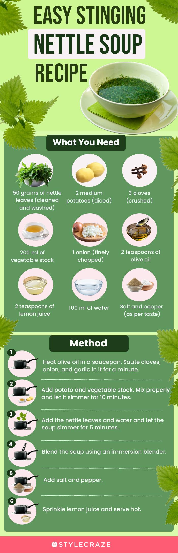 easy stinging nettle soup recipe (infographic)