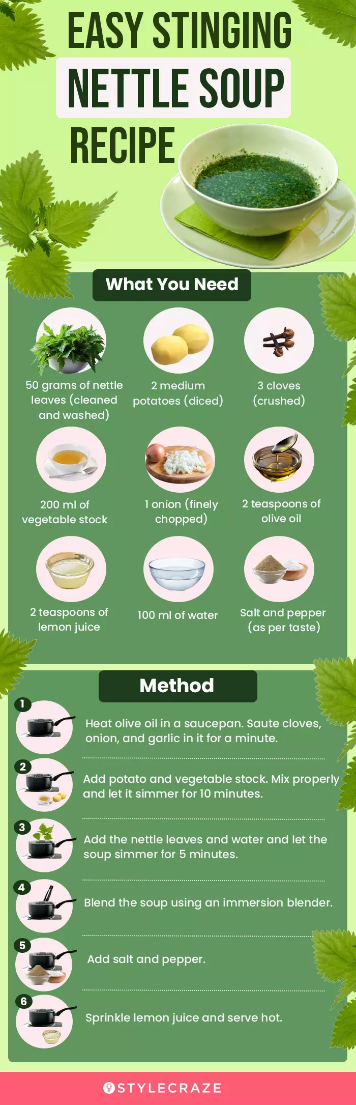 easy stinging nettle soup recipe (infographic)