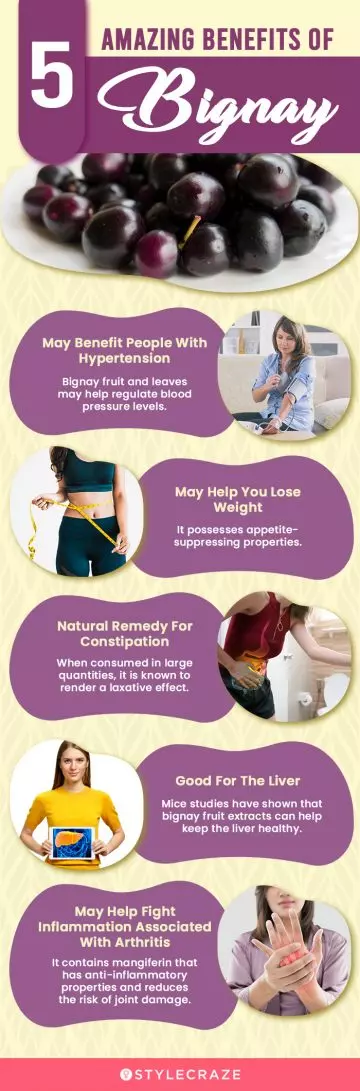 5 amazing benefits of bignay (infographic)