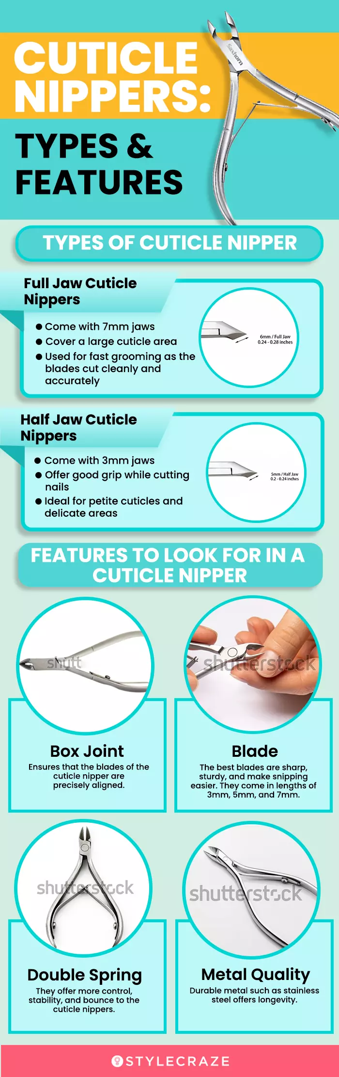 Cuticle Nippers: Types & Features (infographic)