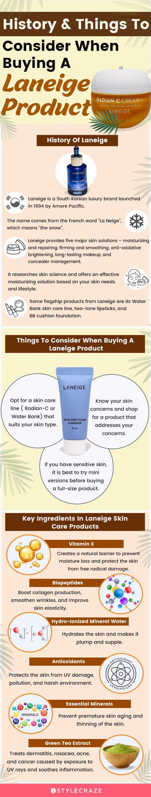 History & Things To Consider When Buying A Laneige Product (infographic)