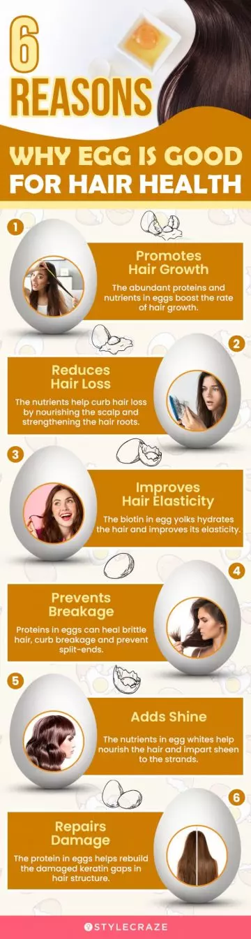 6 reasons why egg is good for hair health (infographic)
