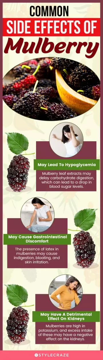 common side effects of mulberry (infographic)