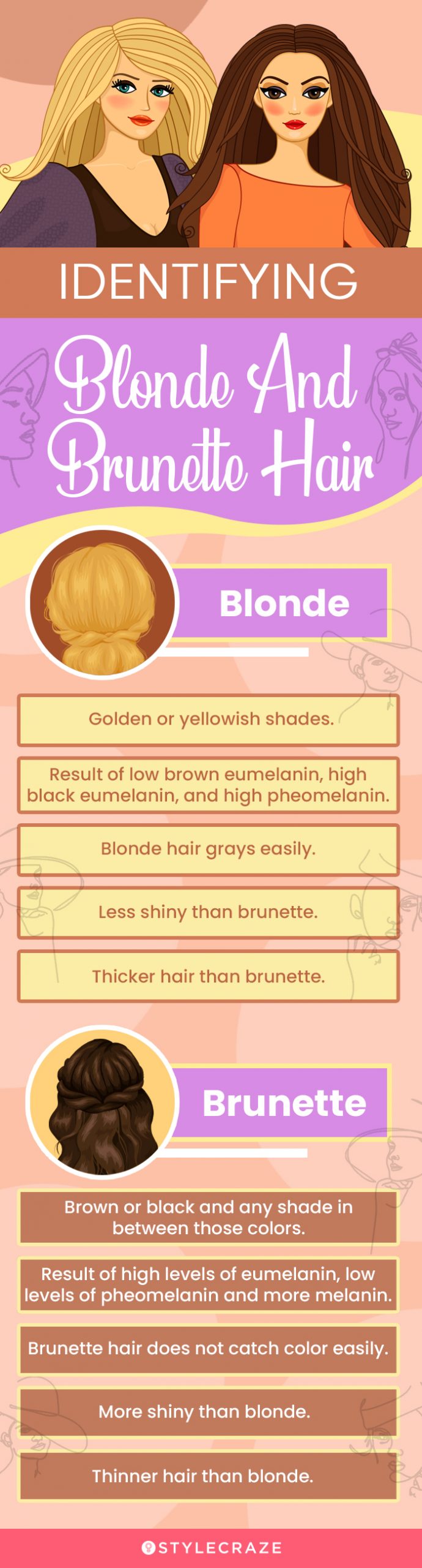 identifying blonde and brunette hair (infographic)