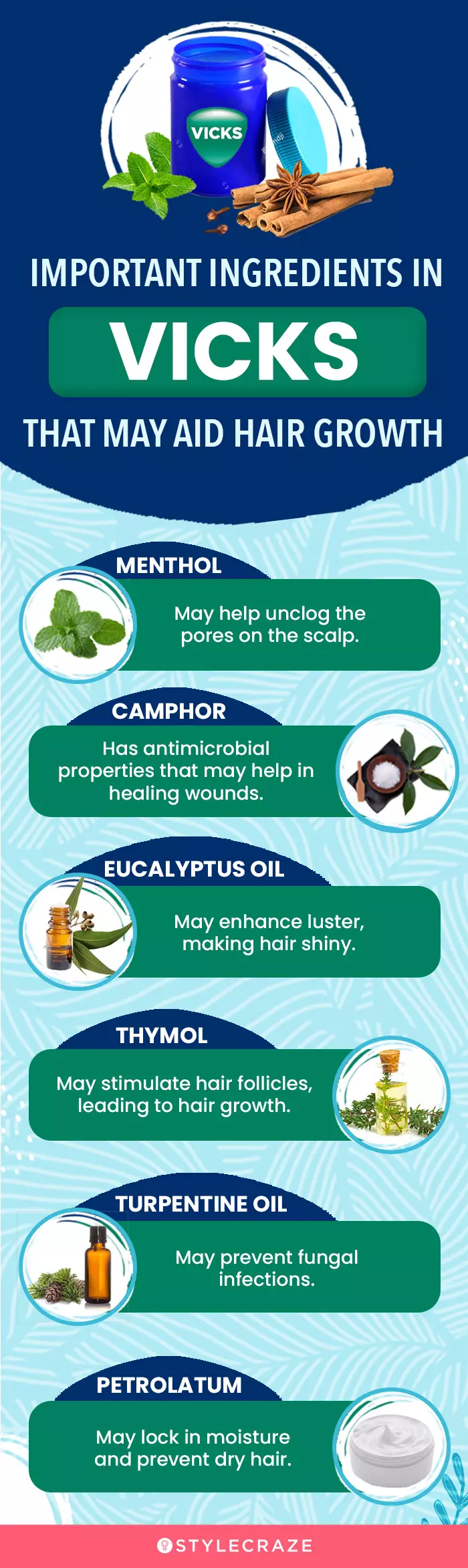 important ingredients in vicks that help hair to grow (infographic)