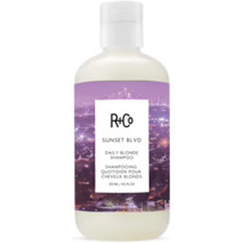 R+Co Sunset Blvd Daily Blonde Shampoo