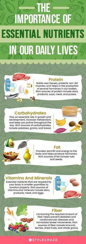 the importance of essential nutrients in our daily lives (infographic)
