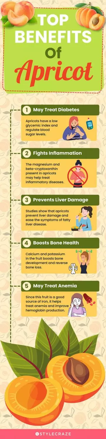 top benefits of apricot (infographic)