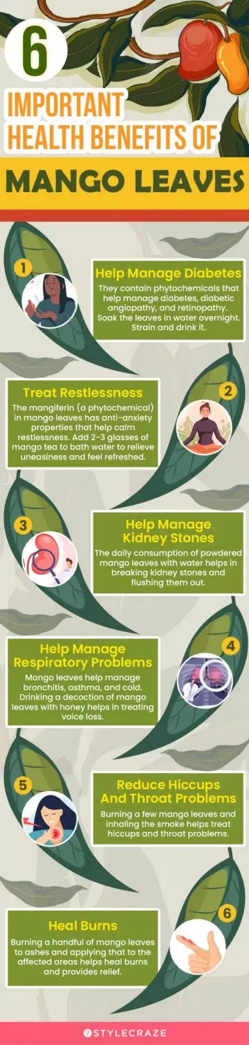 5 important health benefits of mango leaves (infographic)