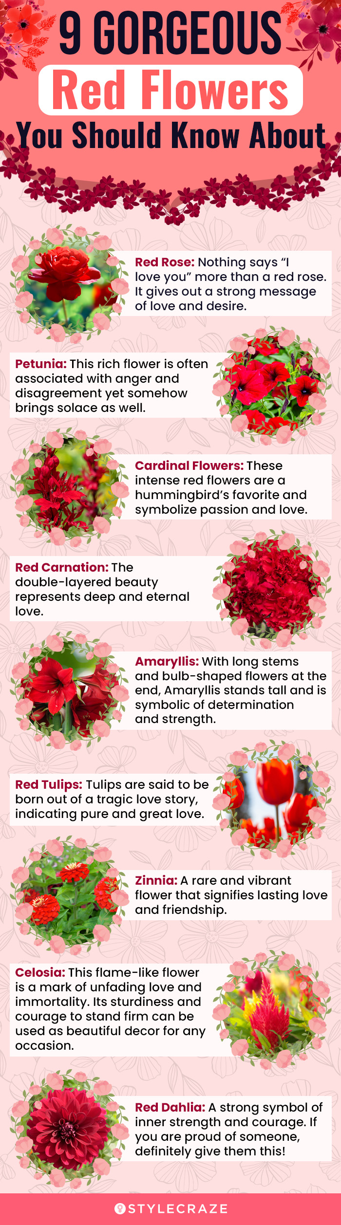 9 gorgeous red flowers you should know about(infographic)