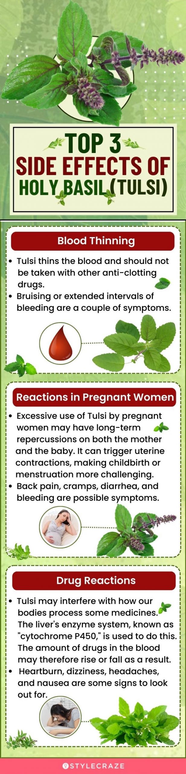top 3 side effects of holy basil(tulsi) (infographic)