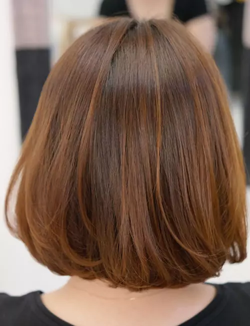 Chocolate brown lowlights for light brown hair