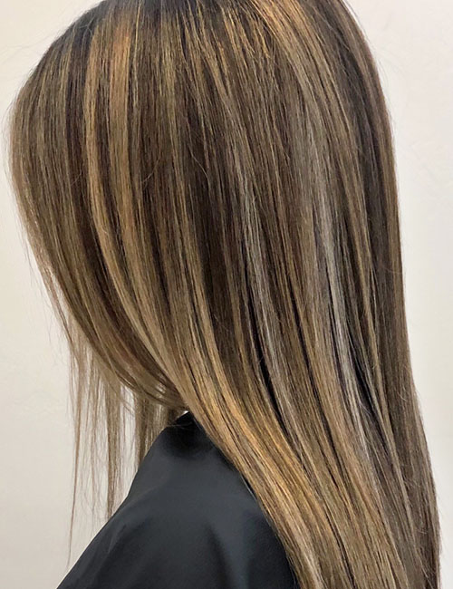 Fusion of highlights and lowlights for light brown hair