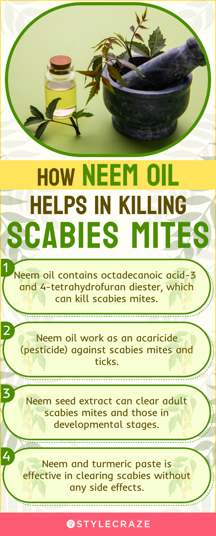 how neem oil helps in killing scabies mites (infographic)