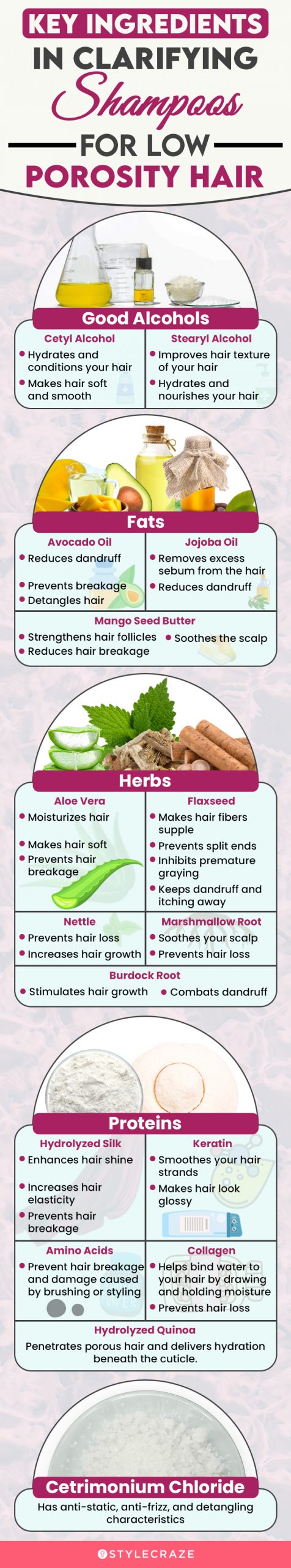 Key Ingredients In Clarifying Shampoos For Low Porosity Hair (infographic)