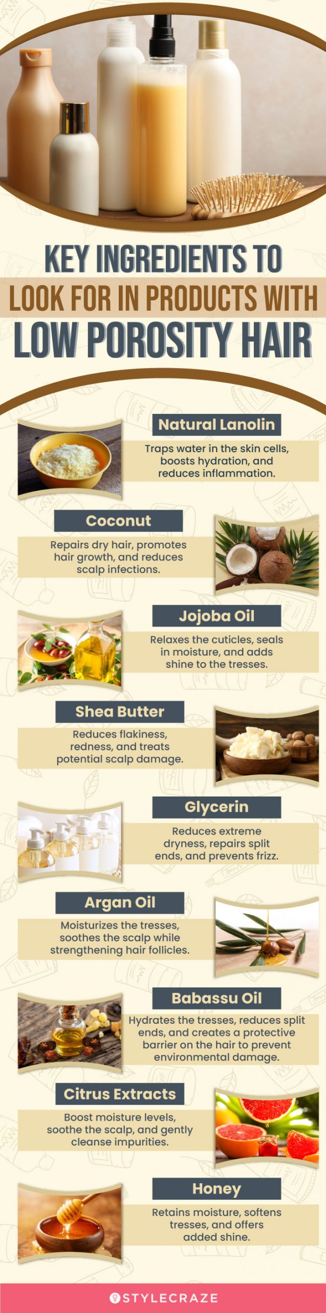 Key Ingredients To Look For In Products With Low Porosity Hair (infographic)
