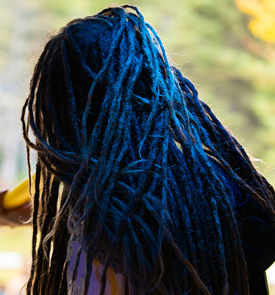 Micro locs with blue accents crochet braids