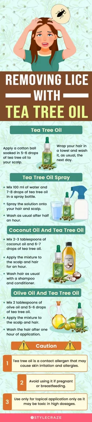 removing lice with tea tree oil (infographic)