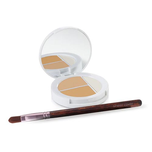 Conceal and Brighten Highlight Trio
