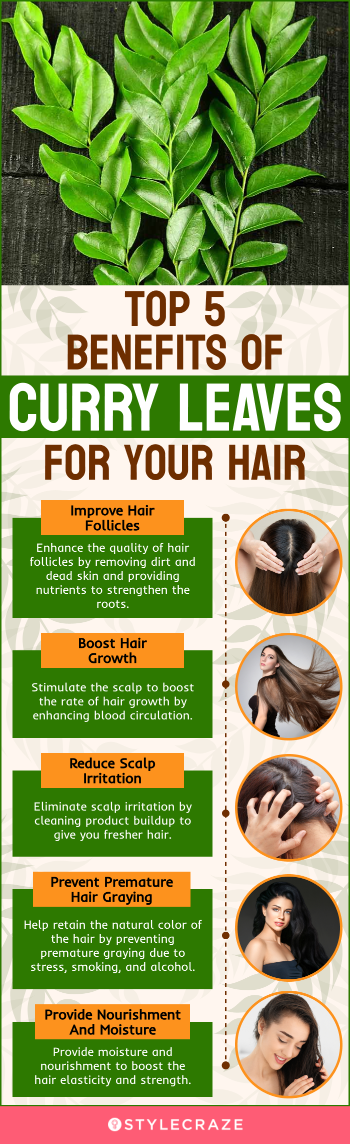 top 5 benefits of curry leaves for your hair (infographic)