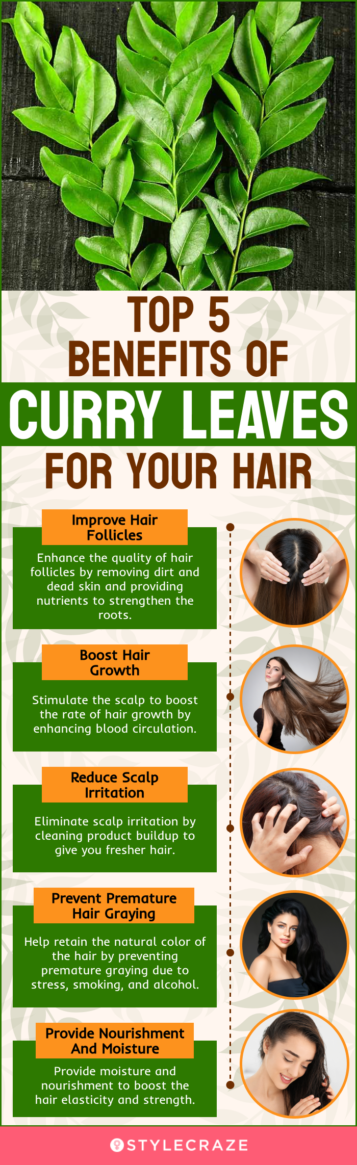 Curry Leaves Hair Mask सकलप स बल क मजबत बनन चहत ह त कर  पतत क मसक लगए जनए कस  Top Uses Of Curry Leaves For Hair Growth