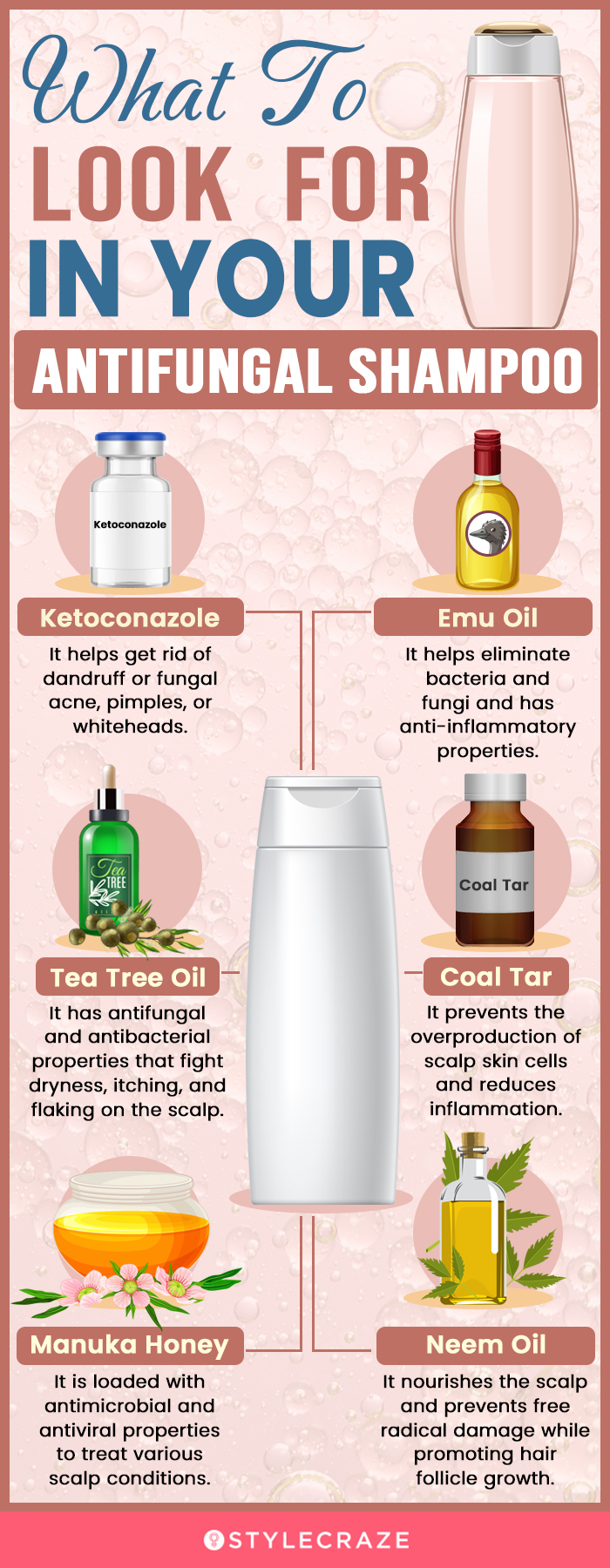 What To Look For In An Antifungal Shampoo (infographic)