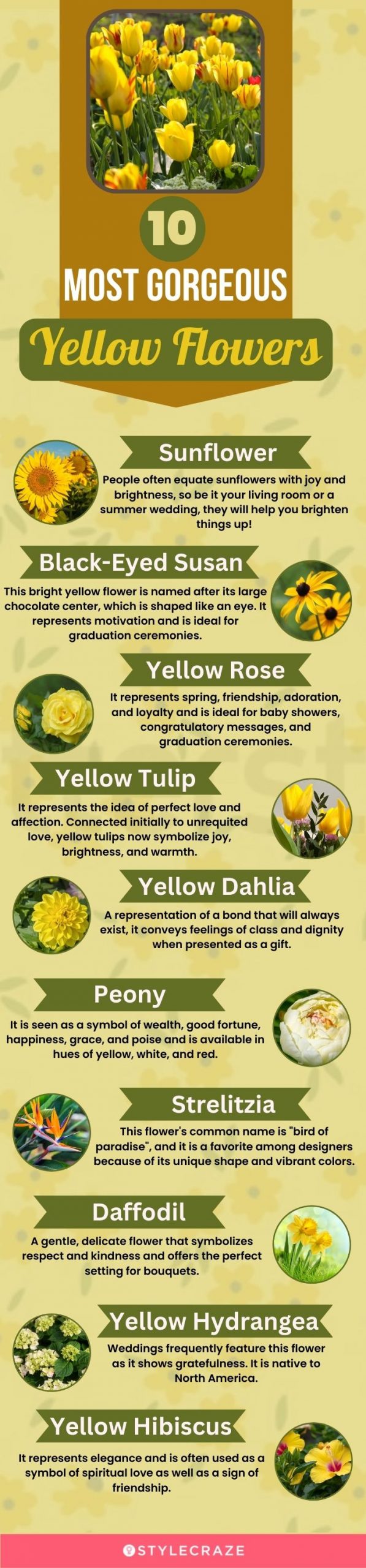 10 most gorgeous yellow flowers (infographic)