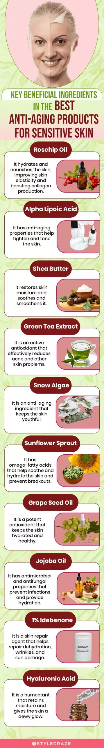 Key Beneficial Ingredients In The Best Anti-Aging Products For Sensitive Skin (infographic)