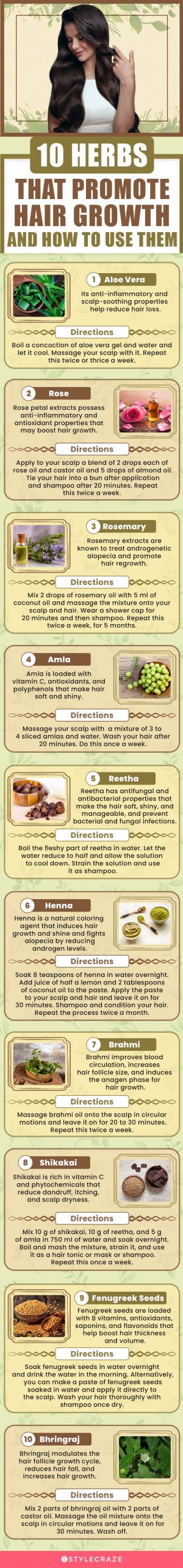 10 herbs that promote hair growth and how to use them (infographic)