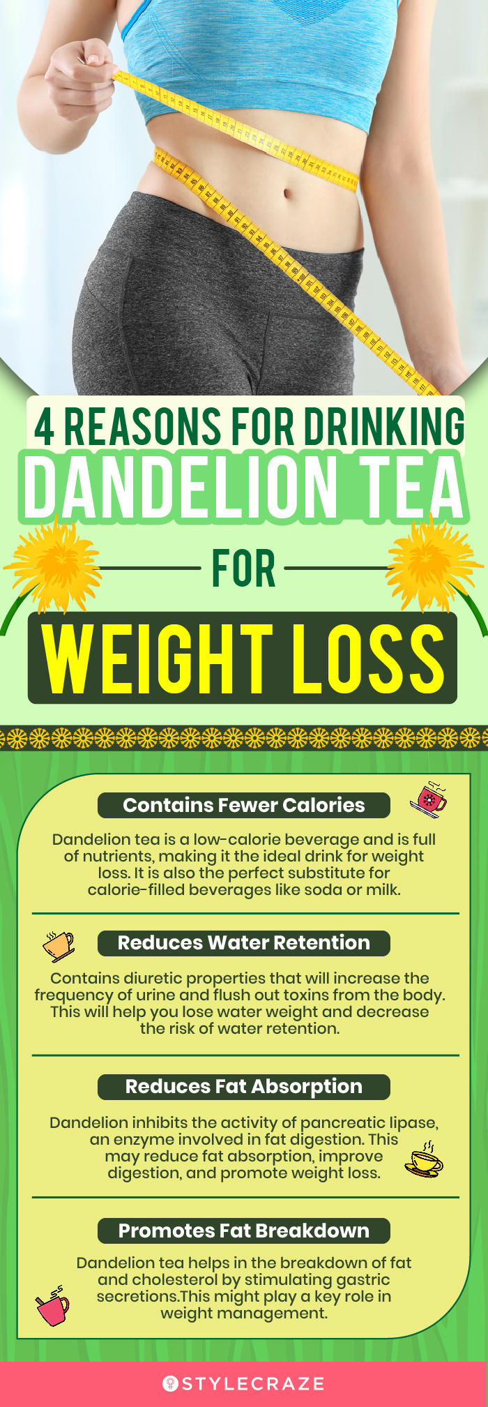 4 reasons for drinking dandelion tea for weight loss (infographic)