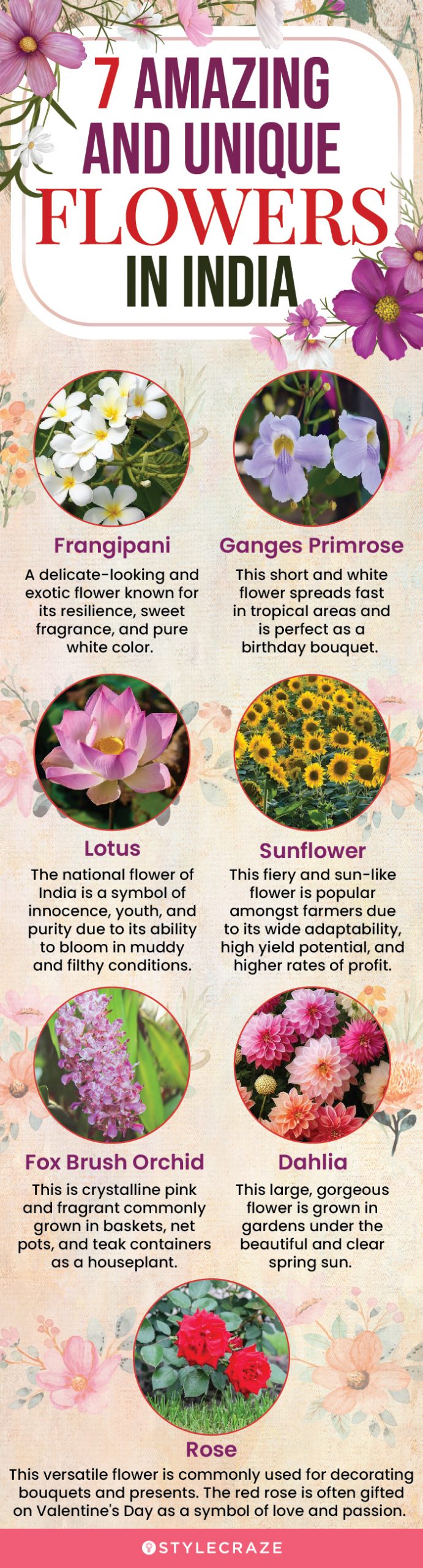 7 amazing and unique flowers in india (infographic)