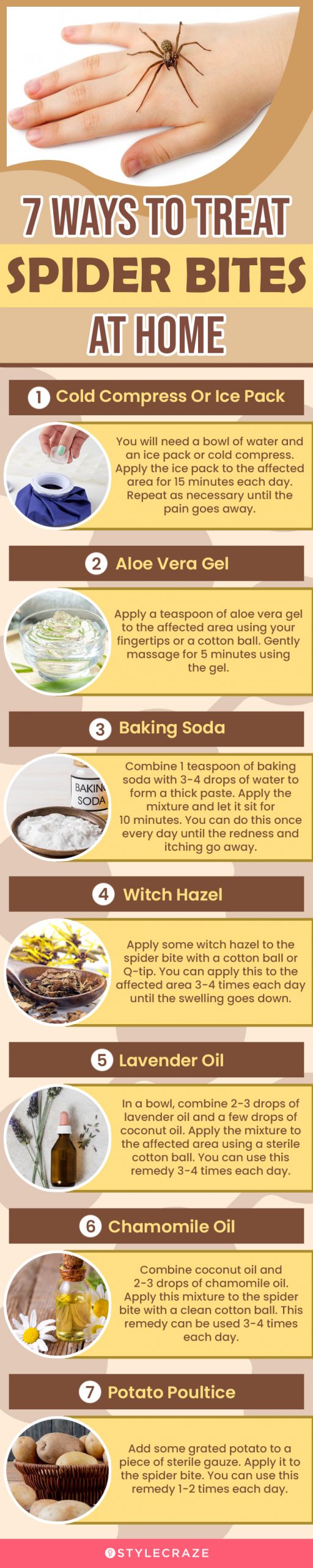 7 ways to treat spider bites at home (infographic)