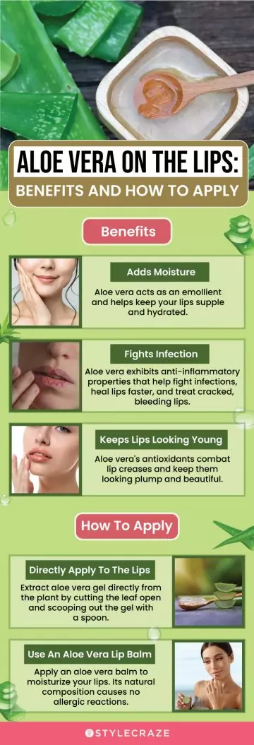 aloe vera on the lips benefits and how to apply (infographic)