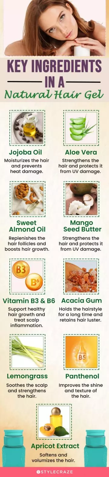 Key Ingredients In A Natural Hair Gel (infographic)