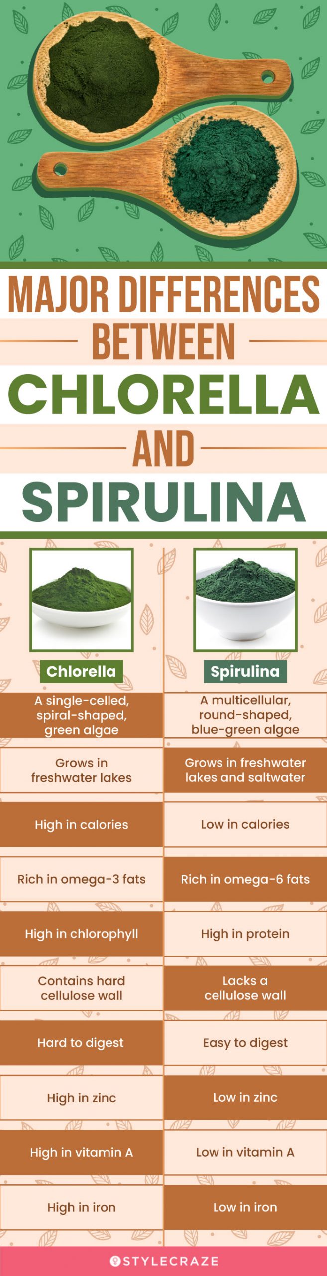 major differences between chlorella and spirulina (infographic)