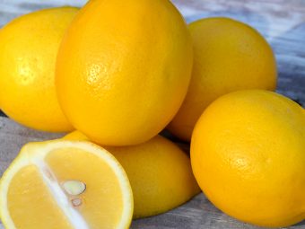 20 лучших вкусных рецептов с лимоном Мейера
